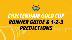 Horse racing expert Katie Midwinter's Runner Guide for The Gold Cup